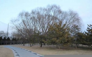 2017年2月2日(2017年2月2日是农历几日)