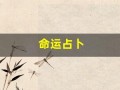 命运占卜(命运占卜免费)