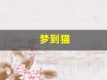 梦到猫(梦到猫攻击自己是什么意思)