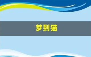 梦到猫(梦到猫攻击自己是什么意思)