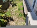 2月28日(2月份有28天的是平年还是闰年)