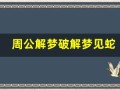 周公解梦破解梦见蛇(梦到蛇解梦)