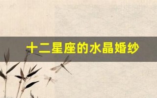 十二星座的水晶婚纱(十二星座的水晶婚纱礼服)