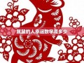 2021年属鼠人的全年运势(2021年属鼠人的全年运势女性)