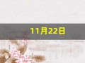 11月22日(11月22日用英语怎么说)