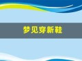 梦见穿新鞋(梦见穿新鞋子)