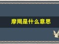 摩羯是什么意思(婚神摩羯是什么意思)