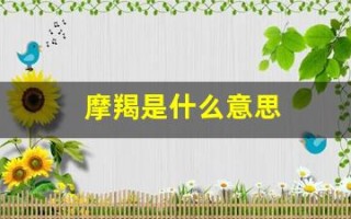摩羯是什么意思(婚神摩羯是什么意思)