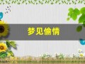 梦见偷情