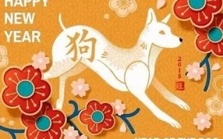 狗年(狗年今年多少岁)