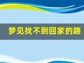 梦见找不到回家的路(梦见找不到回家的路找人问路)