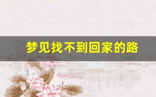 梦见找不到回家的路(梦见找不到回家的路找人问路)