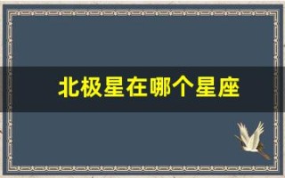 北极星在哪个星座(北极星和北斗七星)