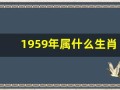 1959年属什么生肖(1958年属什么生肖今年多大岁数)