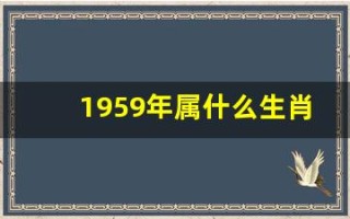 1959年属什么生肖(1958年属什么生肖今年多大岁数)