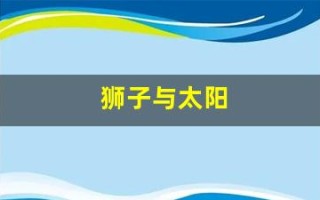 狮子与太阳(狮子与太阳 小圆镜)