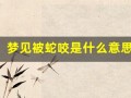 梦见被蛇咬是什么意思 周公解梦(梦见被蛇咬是怎么回事啊)