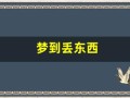 梦到丢东西(做梦丢了一只鞋子)