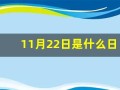 11月22日是什么日子(2024年11月22日是什么日子)