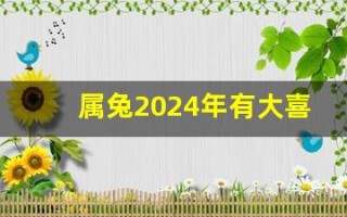 属兔2024年有大喜缠身(属兔的在2024年的运势好不好呢)