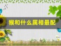 猴和什么属相最配(兔和什么属相最配)
