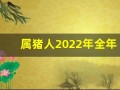 属猪人2022年全年运势及运程(属猪2024年全年运势)