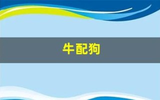 牛配狗(牛配狗守孤灯是什么意思)