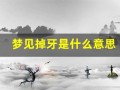 梦见掉牙是什么意思(自己梦见牙齿掉了是什么意思)