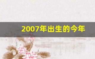 2007年出生的今年多大了(2007年出生的今年多大了虚岁)