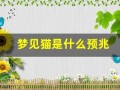 梦见猫是什么预兆(梦见猫咬自己什么预兆)