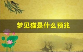 梦见猫是什么预兆(梦见猫咬自己什么预兆)