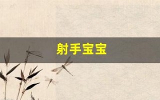 射手宝宝(射手宝宝什么时候怀孕)