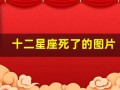十二星座死了的图片(十二星座的月份表图片)
