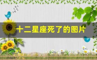 十二星座死了的图片(十二星座的月份表图片)