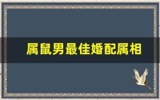 属鼠男最佳婚配属相(属鼠男最佳婚配属相表大全)
