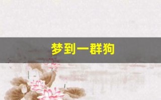 梦到一群狗(梦见狗咬自己右手财运怎么样)