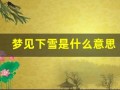 梦见下雪是什么意思(梦见下雪是什么意思周公解梦网)