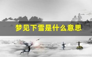 梦见下雪是什么意思(梦见下雪是什么意思周公解梦网)