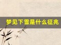 梦见下雪是什么征兆(梦见下雪是什么征兆女性周公解梦)