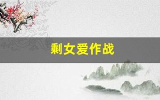 剩女爱作战(剩女大作战小说)