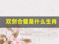 双剑合璧是什么生肖(双剑合璧的是什么意思)