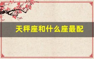 天秤座和什么座最配(天秤座和什么座最配对朋友)