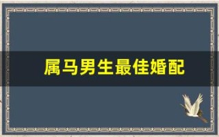 属马男生最佳婚配(1990年属马男生最佳婚配)