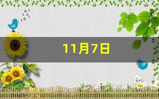 11月7日(11月7日到现在多少天)