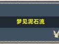 梦见泥石流(梦见泥石流山体滑坡是什么预兆)