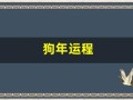 狗年运程(狗年运程2018生肖龙)