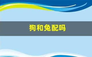 狗和兔配吗(狗和兔属相能配夫妻吗)