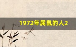 1972年属鼠的人2013年运程(1972年属鼠的人2021年的运程)
