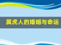 属虎人的婚姻与命运(属虎人的婚姻与命运解析)