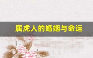 属虎人的婚姻与命运(属虎人的婚姻与命运解析)